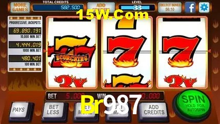 Br987 - Customer Support